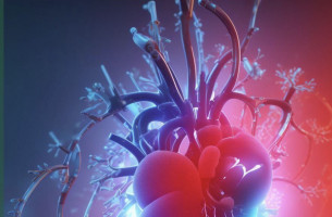 7-14 февруари се провежда Седмица на вродените сърдечни малформации (ВСМ)