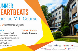 Summer Heartbeats Cardiac MRI Course